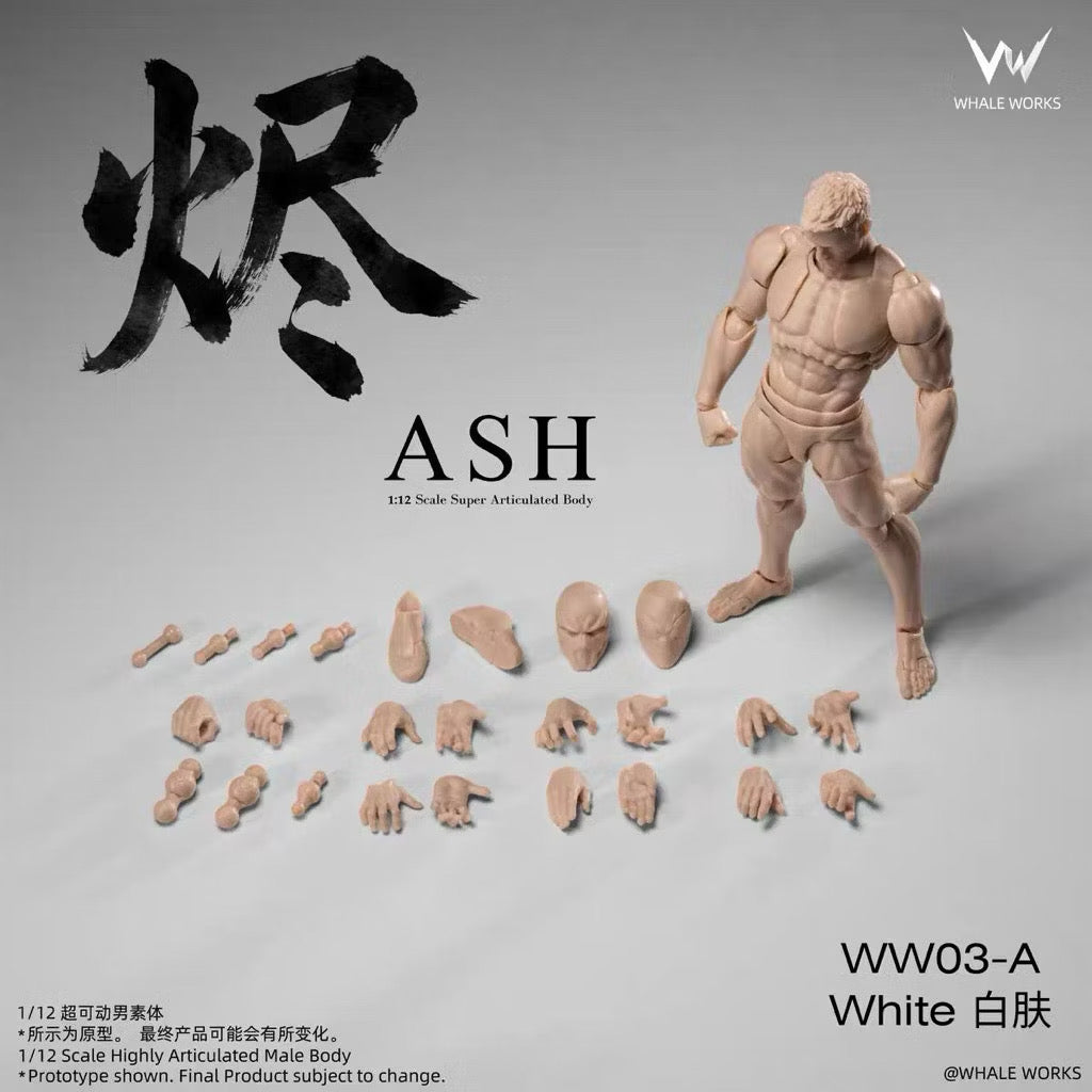 Whale Works (鲸工坊): 1/12 Scale Super Articulated Male Body – Ash (WW03 - All Color Variants)