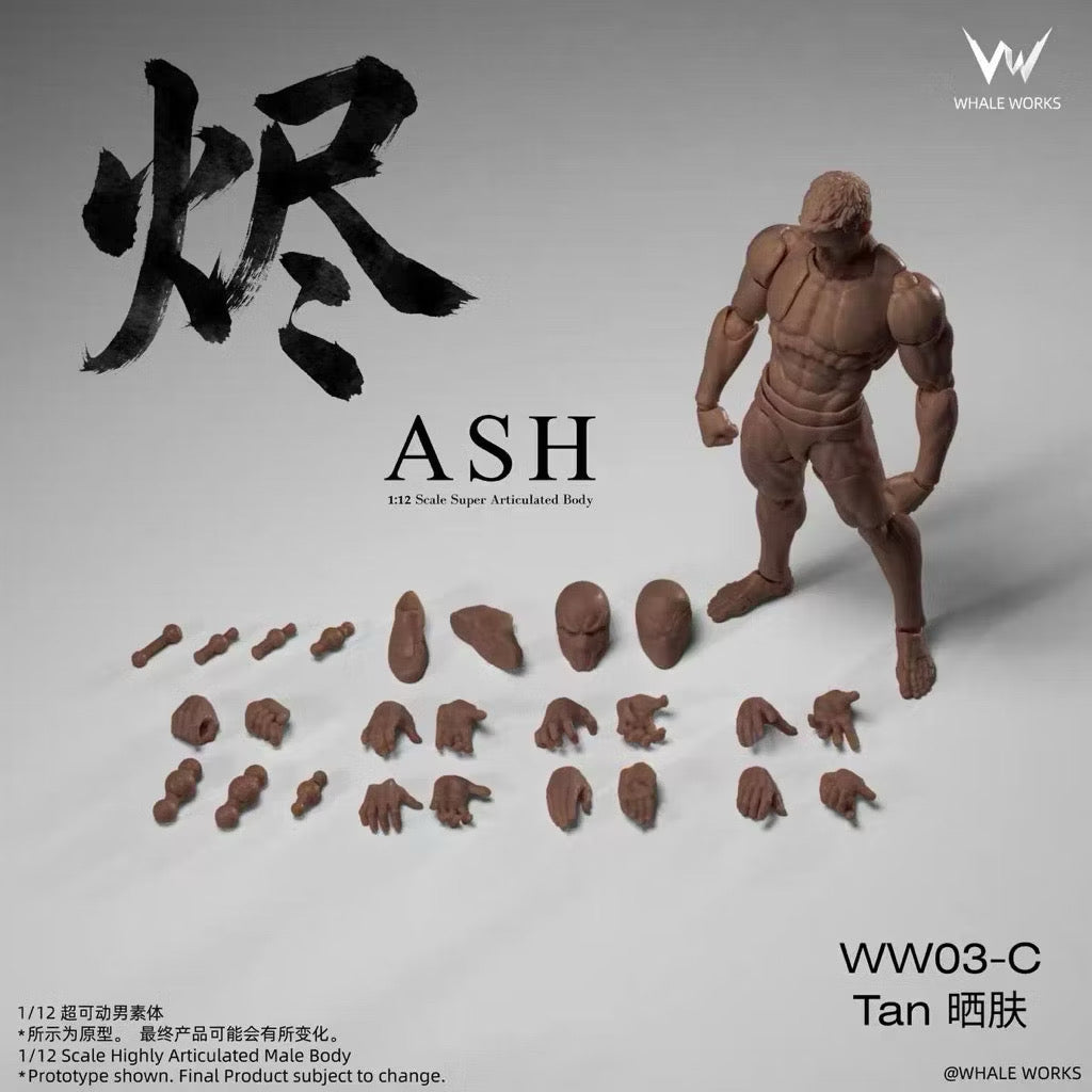 Whale Works (鲸工坊): 1/12 Scale Super Articulated Male Body – Ash (WW03 - All Color Variants)