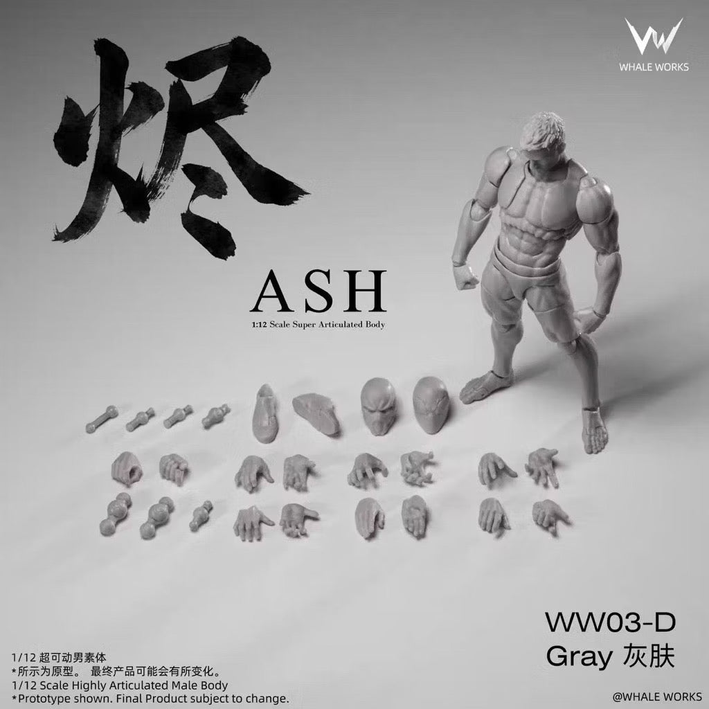 Whale Works (鲸工坊): 1/12 Scale Super Articulated Male Body – Ash (WW03 - All Color Variants)