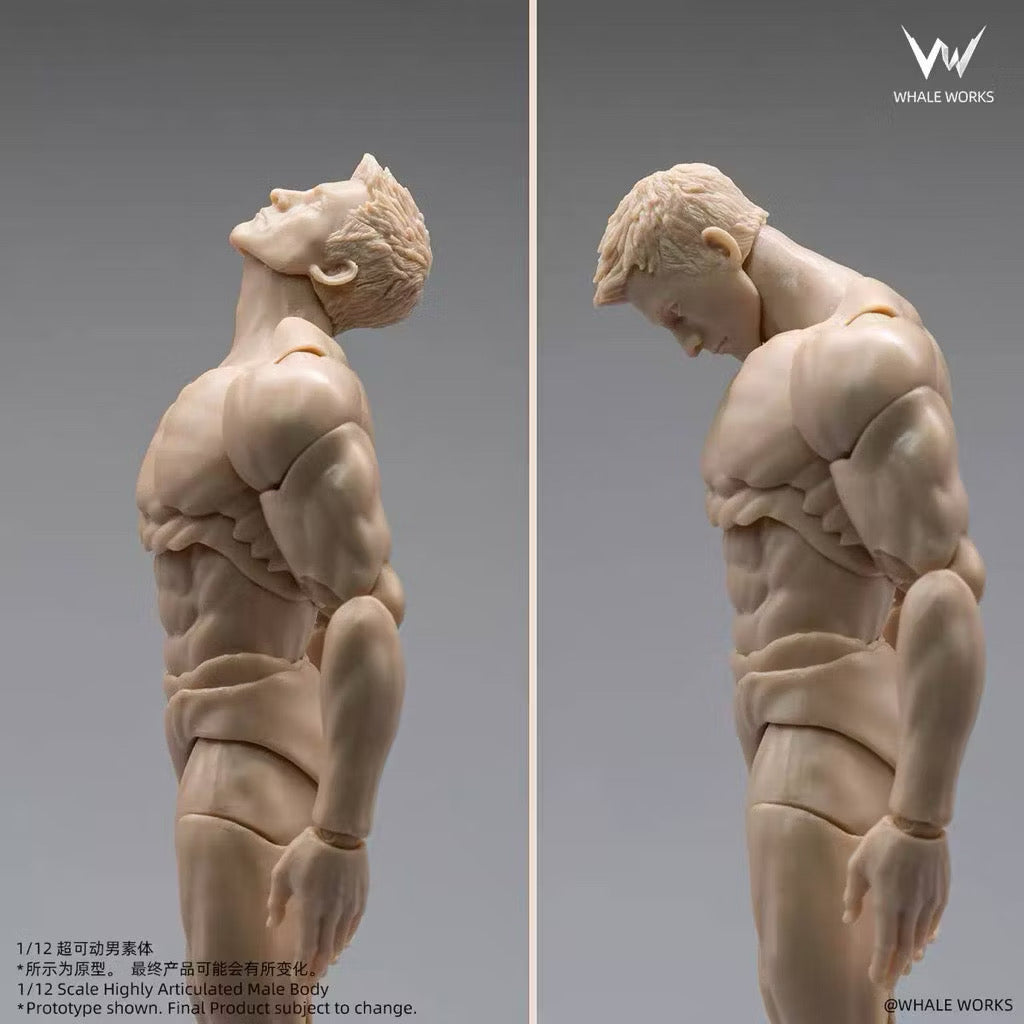Whale Works (鲸工坊): 1/12 Scale Super Articulated Male Body – Ash (WW03 - All Color Variants)