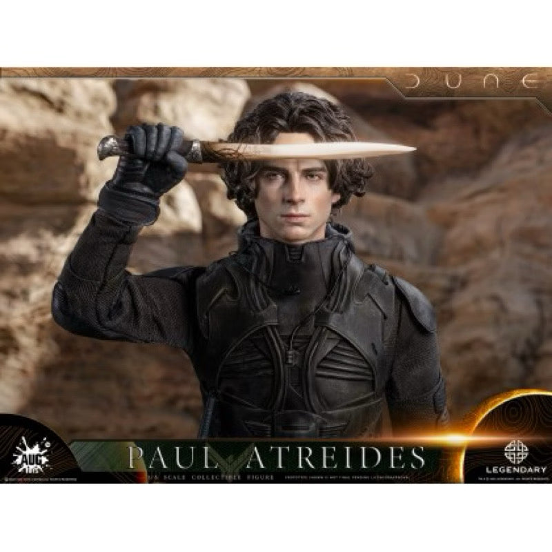 Paul Atreides Aug Toys DL003 1/6th Scale Legendary Dune