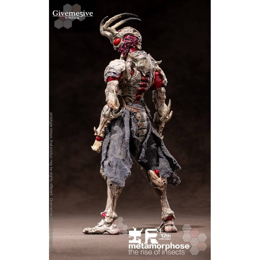 1/12 Metamorphose The Rise of Insects: Airoki by Giveme5ive