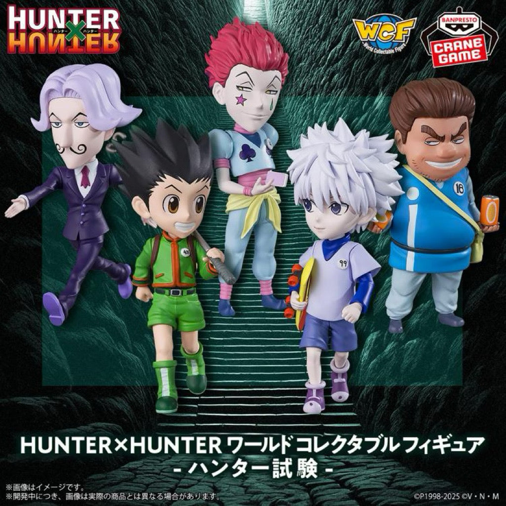 (Set of 5 Figures) WCF Hunter x Hunter World Collectable Figure The Hunter Exam